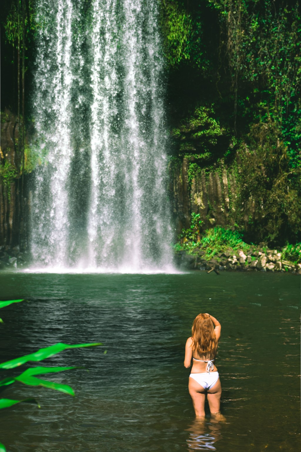 The ultimate Cairns bucket&nbsp;list