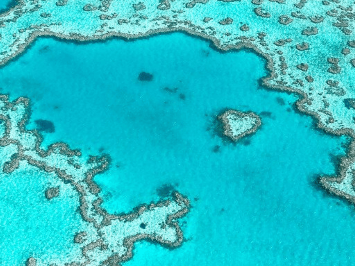 5 Ways To Experience The Great Barrier&nbsp;Reef
