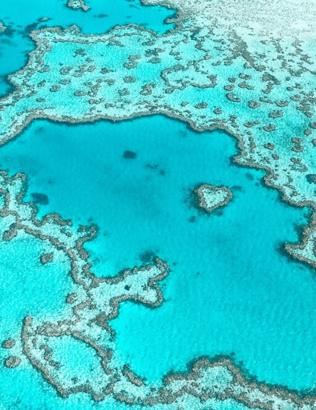 5 Ways To Experience The Great Barrier&nbsp;Reef