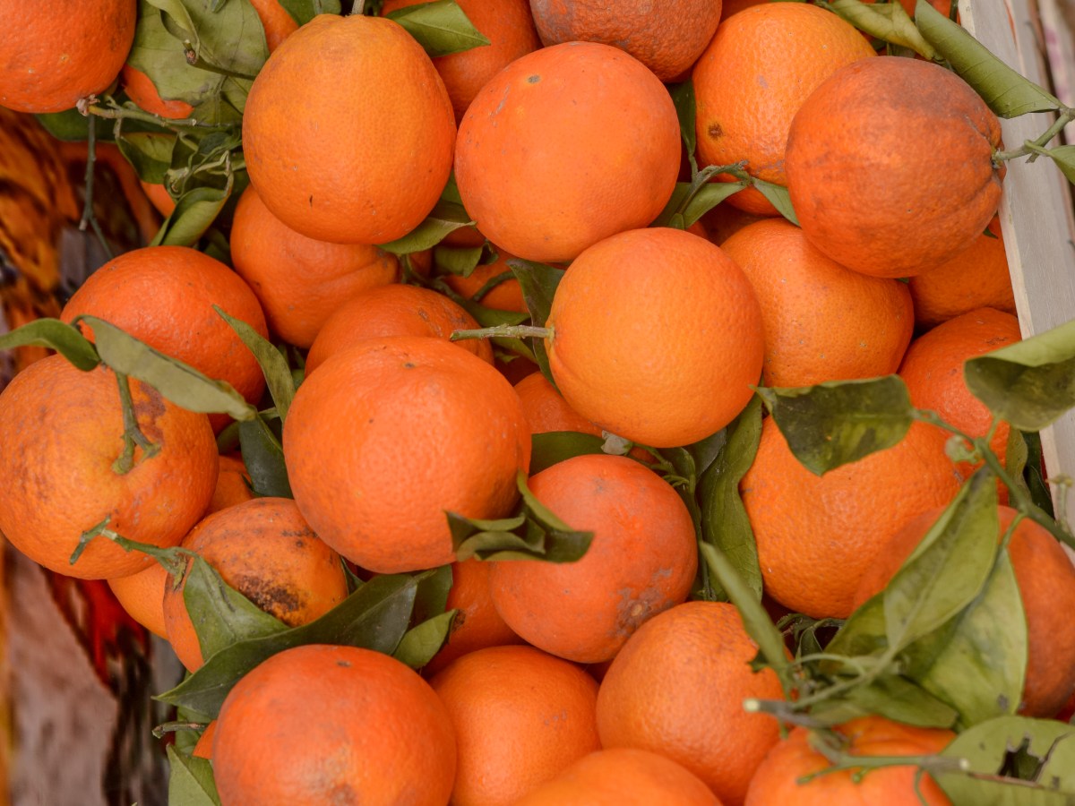 8 Must Try Sicilian&nbsp;Dishes