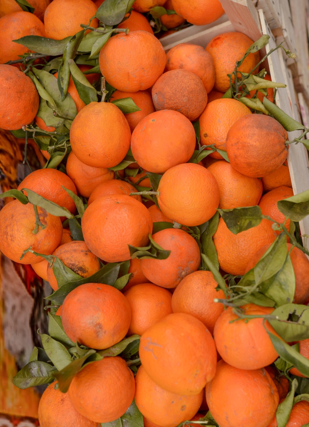 8 Must Try Sicilian&nbsp;Dishes