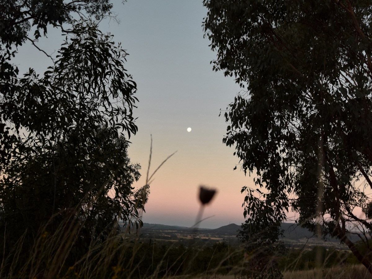 Moving back to the Australian&nbsp;bush