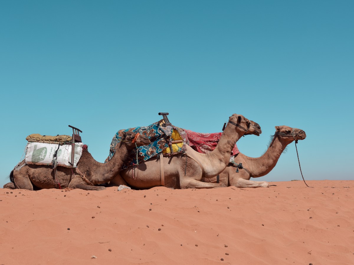 The best Sahara desert tour from Agadir – The complete&nbsp;itinerary
