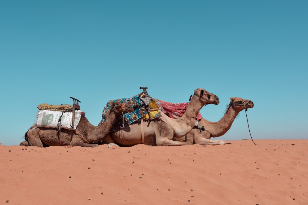 The best Sahara desert tour from Agadir – The complete&nbsp;itinerary