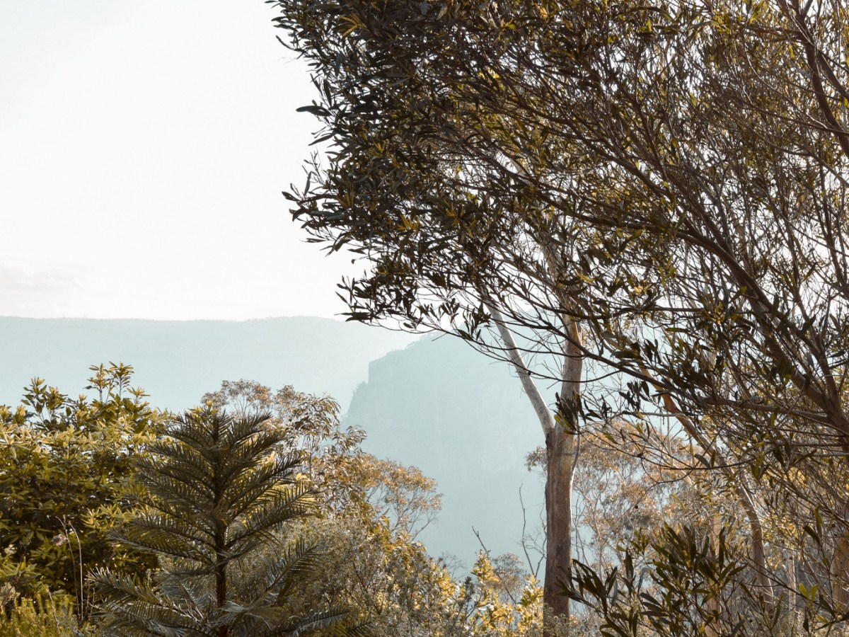 A guide to visiting Scenic world, The Blue&nbsp;Mountains