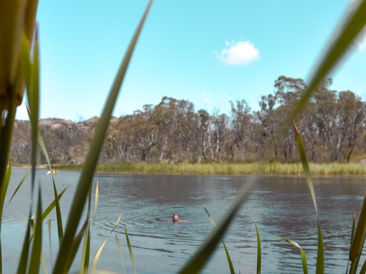 An Aussie bush&nbsp;picnic