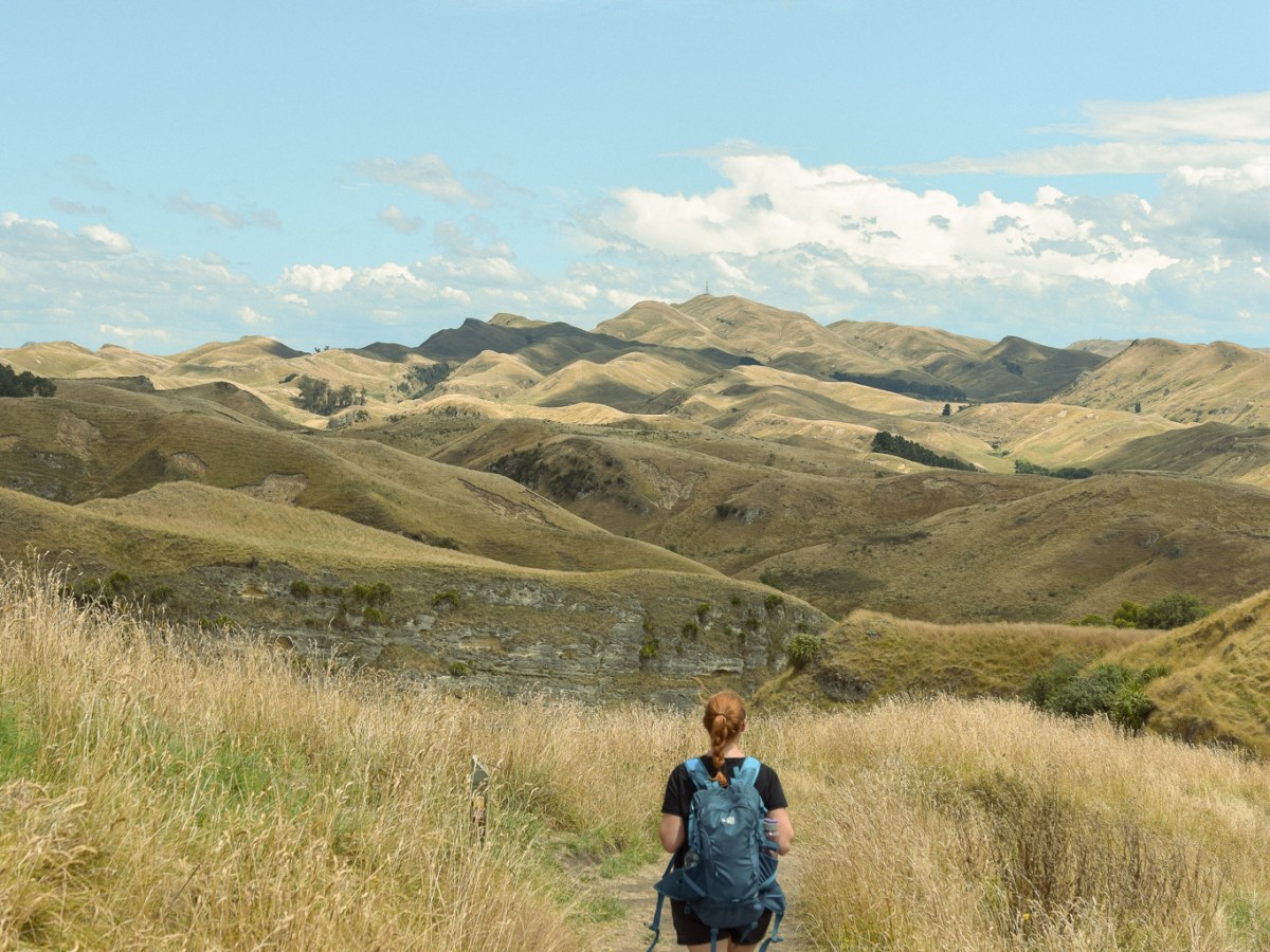 Hiking Te Mata Peak, Hawkes&nbsp;Bay