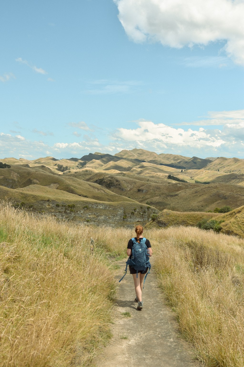 Hiking Te Mata Peak, Hawkes&nbsp;Bay