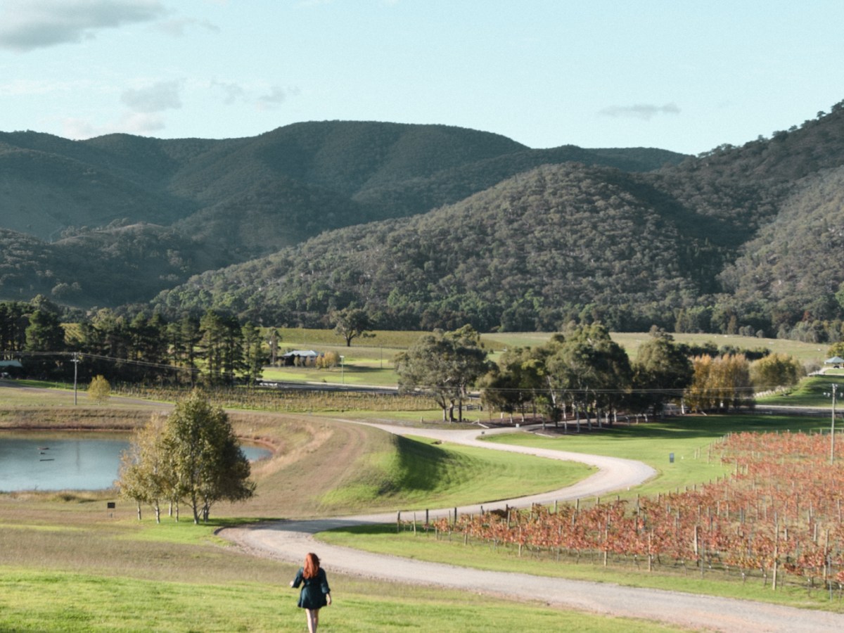 Wine tasting at Logan Wines,&nbsp;Mudgee