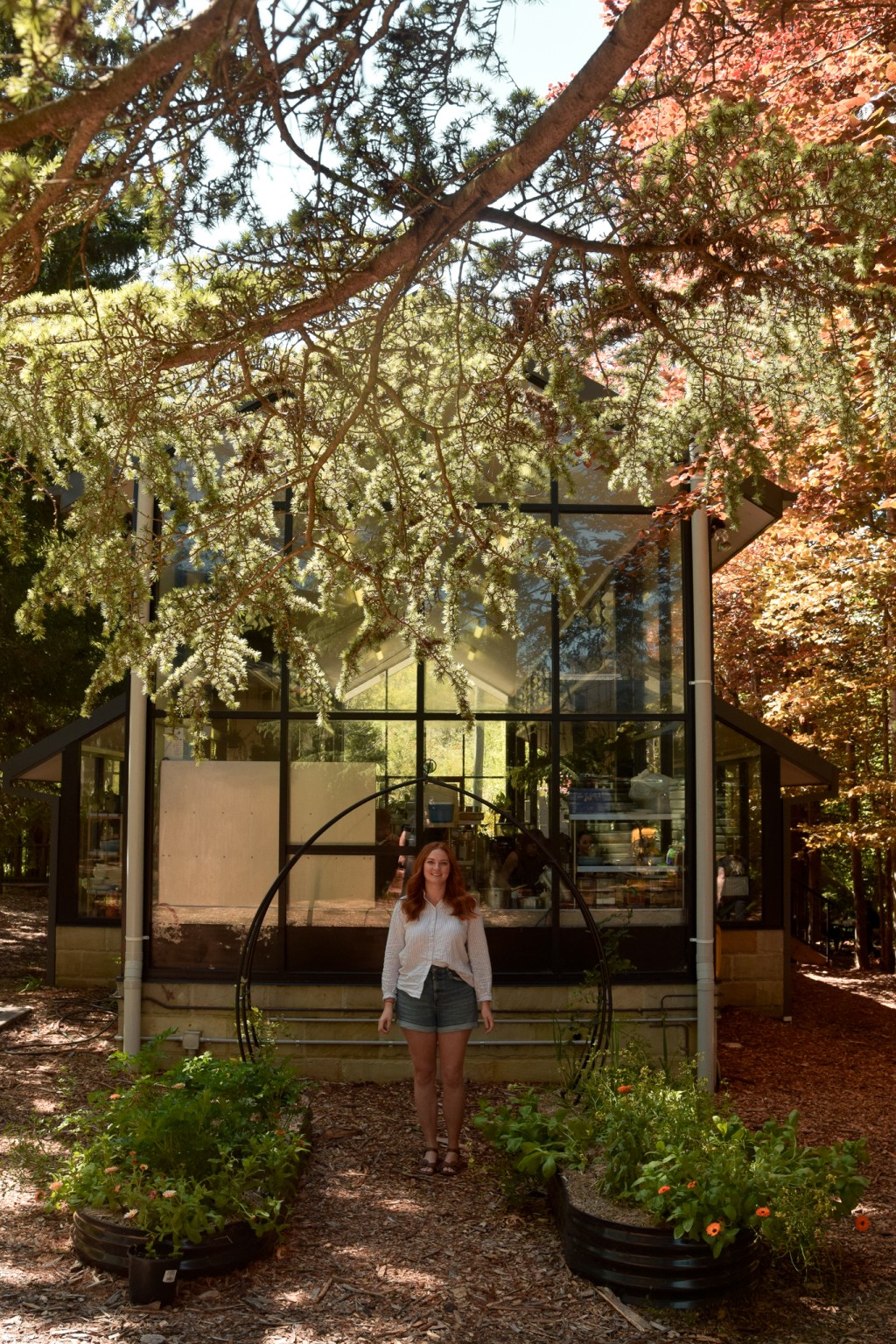 Lunch at Sorensen’s glasshouse and&nbsp;gardens