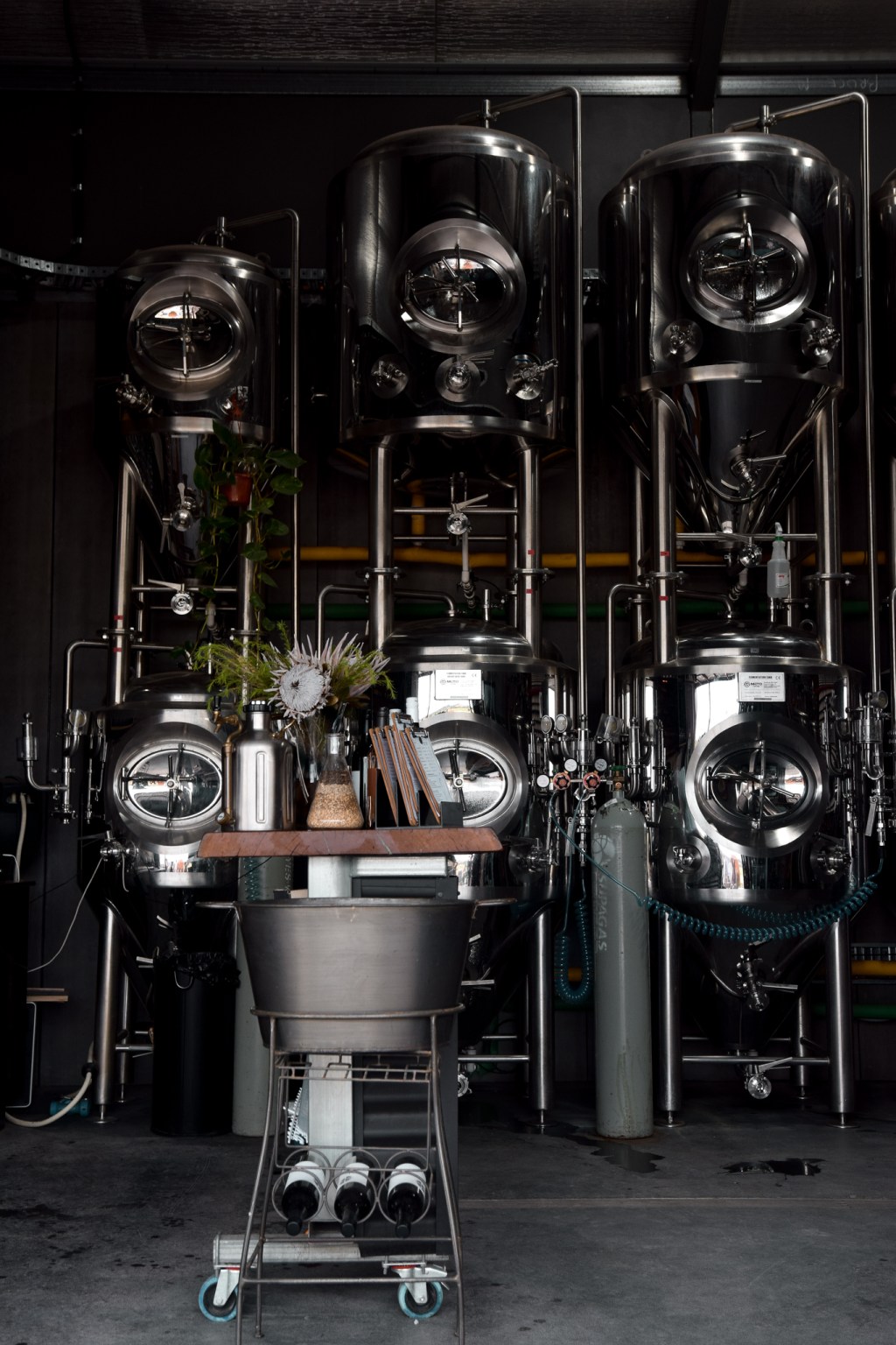 Discover Mudgee’s Small Batch Brewery & Hop farm