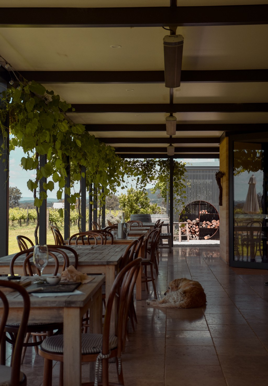 Discover Boutique Wines at Yeates, Mudgee
