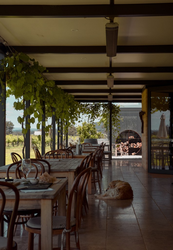Discover Boutique Wines at Yeates,&nbsp;Mudgee