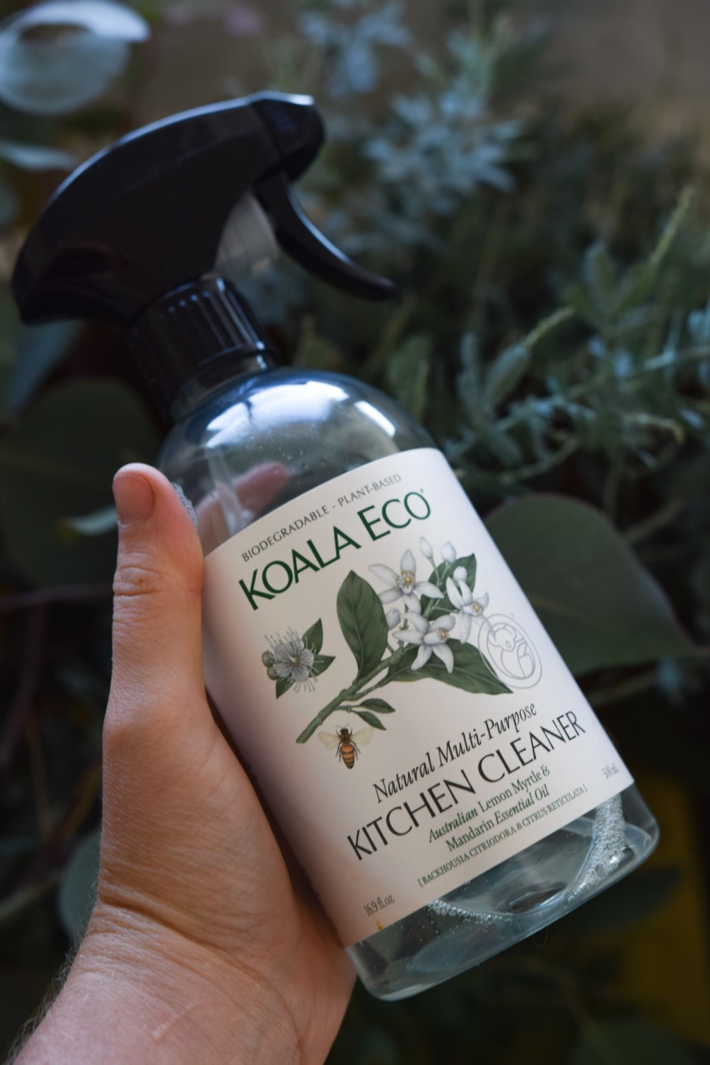 Why Eco Koala Is My Go-To for Natural Cleaning&nbsp;Products